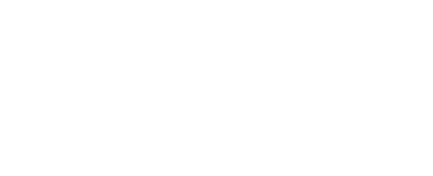 New Hampshire Electric Co-Op logo